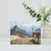 Llama Overzien Ruins | Machu Picchu, Peru Briefkaart (Staand voorkant)