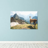 Llama Overzien Ruins | Machu Picchu, Peru Canvas Afdruk (Insitu (Houten vloer))