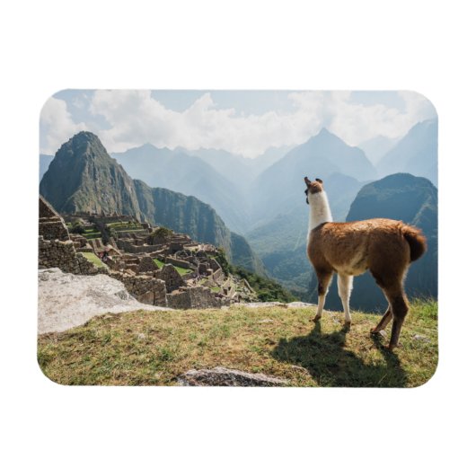 Llama Overzien Ruins | Machu Picchu, Peru Magneet (Horizontaal)