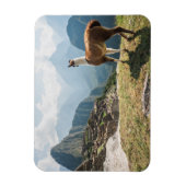 Llama Overzien Ruins | Machu Picchu, Peru Magneet (Verticaal)