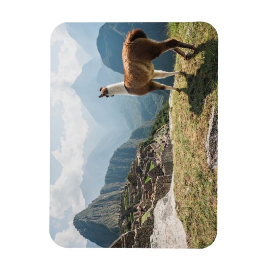 Llama Overzien Ruins | Machu Picchu, Peru Magneet (Verticaal)