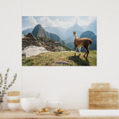 Llama Overzien Ruins | Machu Picchu, Peru Poster (Keuken)