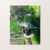Llama Pack Idaho. Legpuzzel (Verticaal)