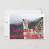 Llama Party nodigt uit Kaart (Voorkant)