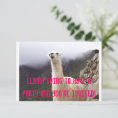 Llama Party nodigt uit Kaart (Staand voorkant)