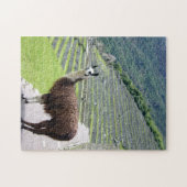 llama peru legpuzzel (Horizontaal)