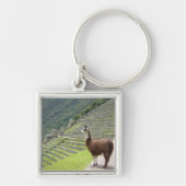 llama peru sleutelhanger (Voorkant)