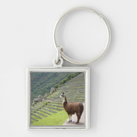 llama peru sleutelhanger (Voorkant)