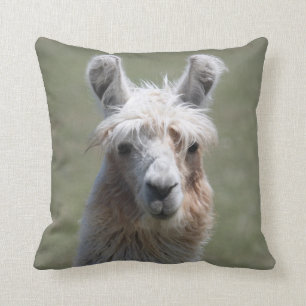Llama Pillow Kussen