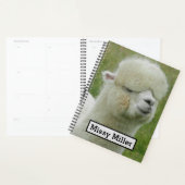 Llama Planner (Display)