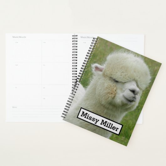 Llama Planner (Display)