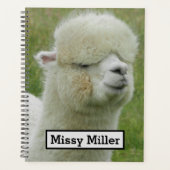 Llama Planner (Voorkant)