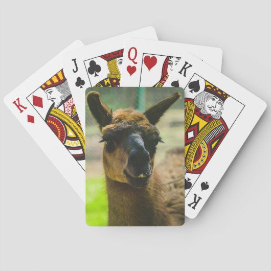 Llama Pokerkaarten (Achterkant)