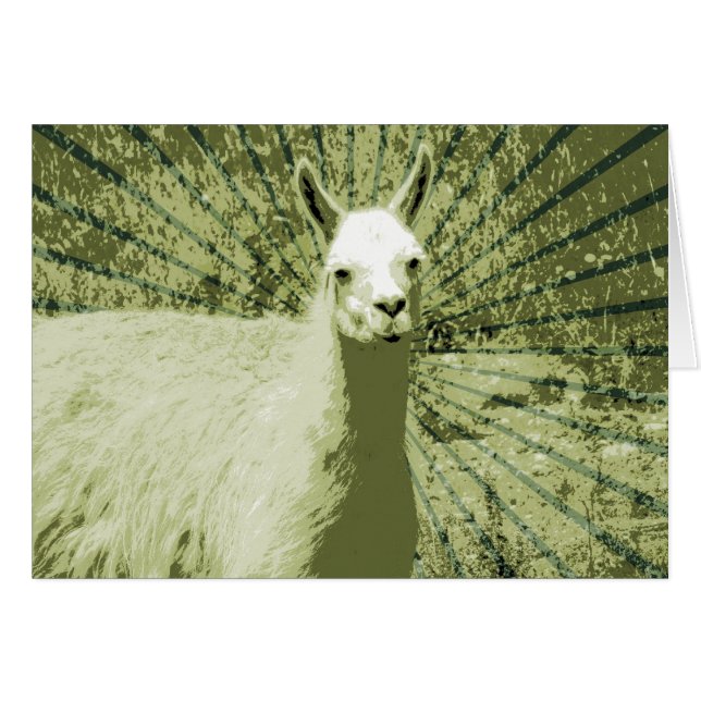 Llama Pop Art (Voorkant Horizontaal)