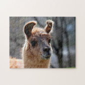Llama Portrait, Jigzaag Puzzle Legpuzzel (Horizontaal)