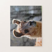 Llama Portrait, Jigzaag Puzzle Legpuzzel (Verticaal)