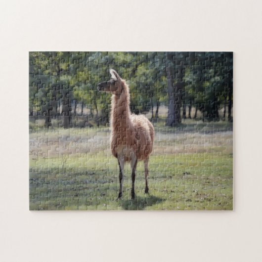 Llama Poser Dierlijke Natuur Puzzel Legpuzzel (Horizontaal)
