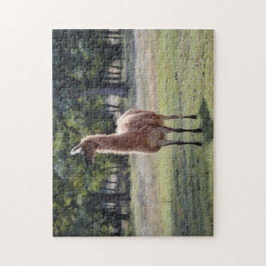 Llama Poser Dierlijke Natuur Puzzel Legpuzzel (Verticaal)