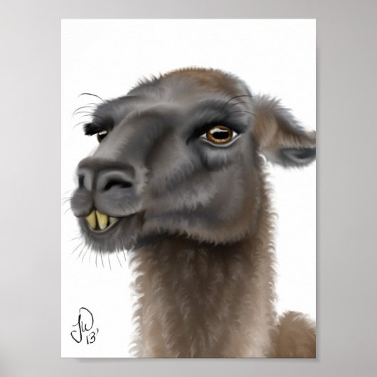 Llama Poster (Voorkant)