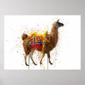 Llama Poster (Voorkant)