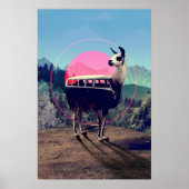 Llama Poster (Voorkant)
