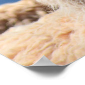 Llama Poster Art (Hoek)