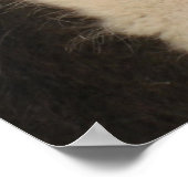 Llama Poster Print (Hoek)