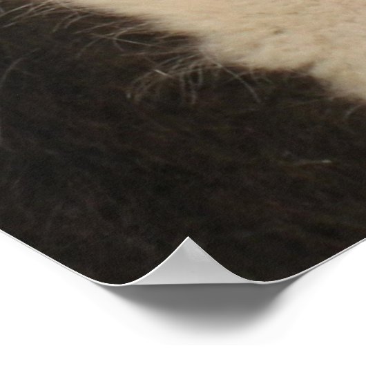 Llama Poster Print (Hoek)