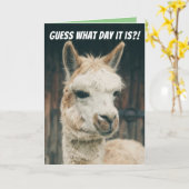 Llama - Raad eens op welke dag het is... het is ge Kaart (Gele Bloem)