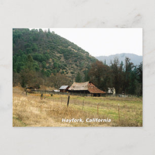 Llama Ranch...... Briefkaart