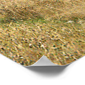 Llama Ranch...... Poster (Hoek)