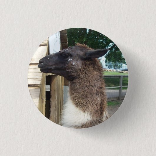 Llama Ronde Button 3,2 Cm (Voorkant)
