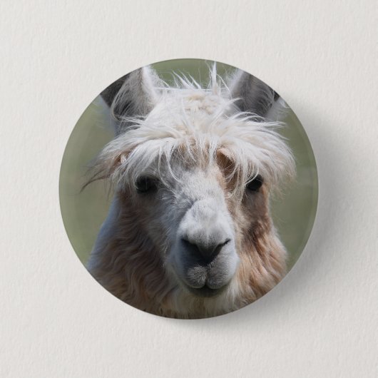 Llama Ronde Button 5,7 Cm (Voorkant)
