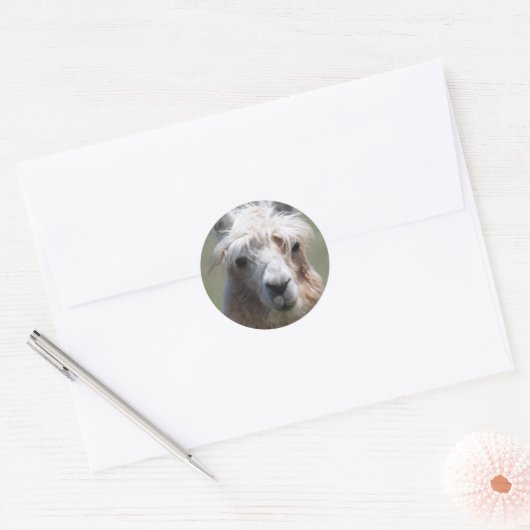 Llama Ronde Sticker (Envelop)