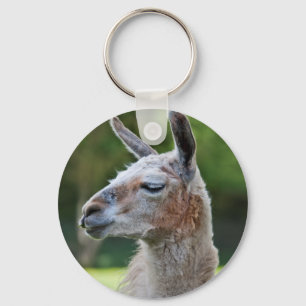 Llama-sleutelhanger Sleutelhanger