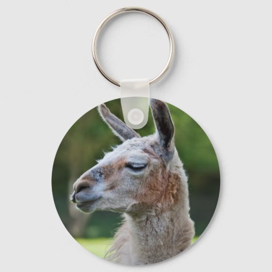 Llama-sleutelhanger Sleutelhanger (Voorkant)