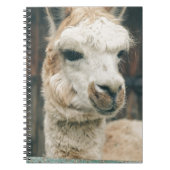 Llama Sluiten Notitieboek (Voorkant)