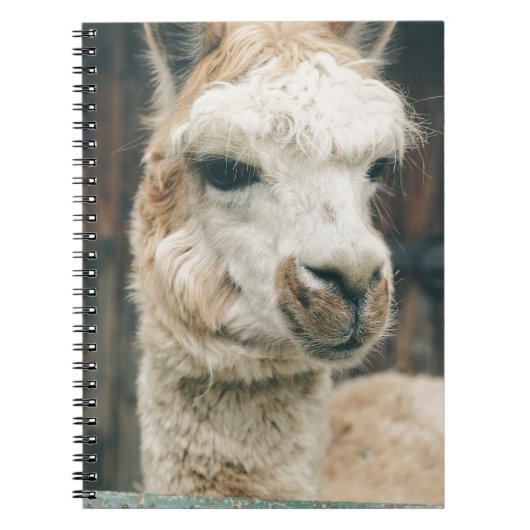 Llama Sluiten Notitieboek (Voorkant)