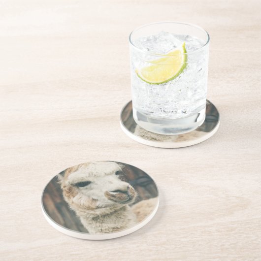 Llama Sluiten Zandsteen Onderzetter (Zijkant)