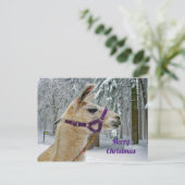 Llama SneeuwfotoKerstmis Briefkaart (Staand voorkant)