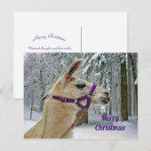 Llama SneeuwfotoKerstmis Briefkaart (Voorkant / Achterkant)