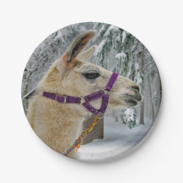 Llama Snow Photo Papieren Bordje