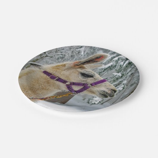 Llama Snow Photo Papieren Bordje (Gekanteld)