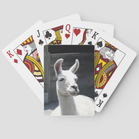Llama-speelkaarten glimlachen speelkaarten (Achterkant)