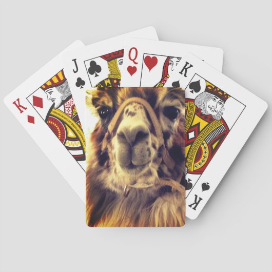 Llama-speelkaarten Pokerkaarten (Achterkant)