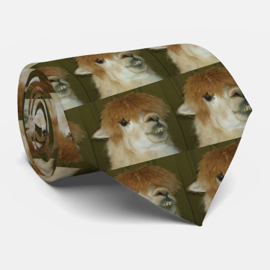 LLama Stropdas (Opgerold)