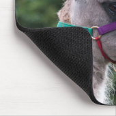 Llama superioriteit muismat (Hoek)