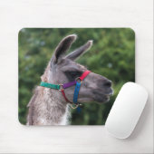 Llama superioriteit muismat (Met muis)