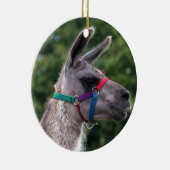 Llama Superiority Keramisch Ornament (Rechts)