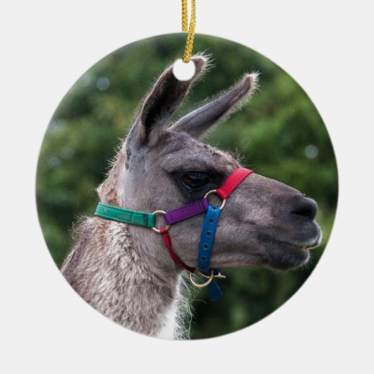 Llama Superiority Keramisch Ornament (Voorkant)